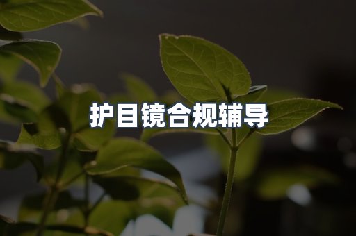 护目镜合规辅导