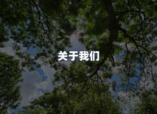 关于我们
