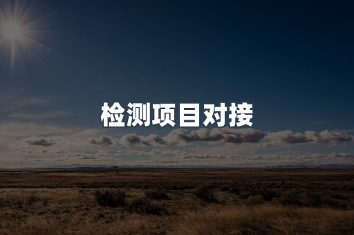 检测项目对接
